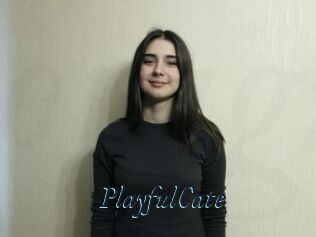 PlayfulCate