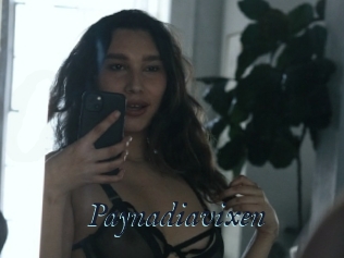 Paynadiavixen