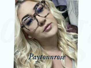 Paytonnrose