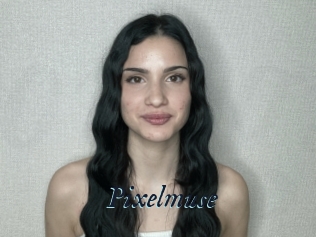 Pixelmuse