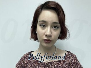 Pollyforland