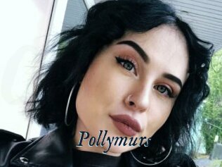 Pollymurs