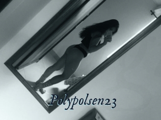 Polypolsen23