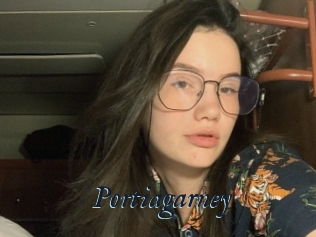 Portiagarney