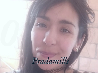 Pradamills