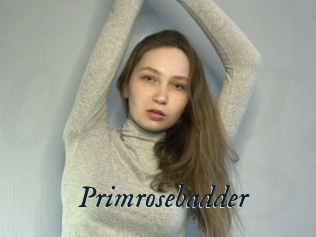 Primrosebadder