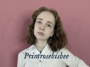 Primrosebisbee
