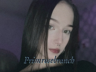 Primrosebranch