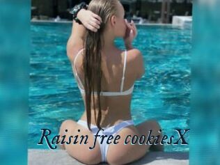 Raisin_free_cookiesX