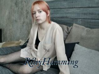 RileyHamming