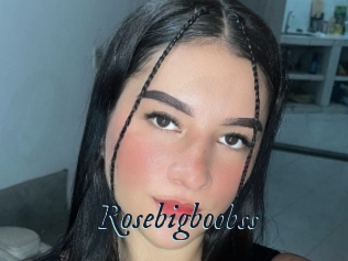 Rosebigboobss