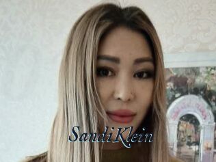 SandiKlein