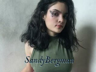 SandyBergman