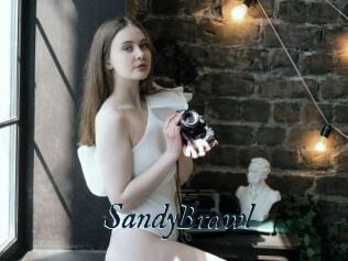 SandyBrawl