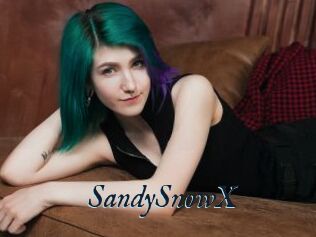 SandySnowX