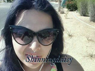 Shinningdaisy