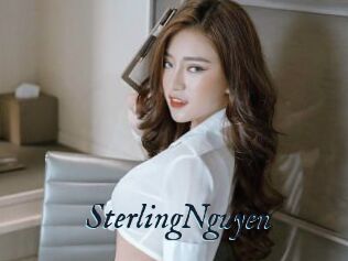 SterlingNguyen