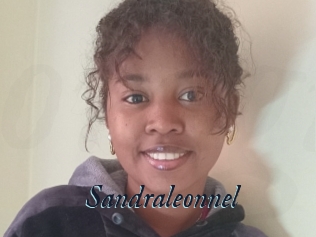 Sandraleonnel
