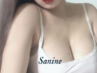 Sanine