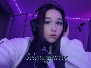 Selenagambee