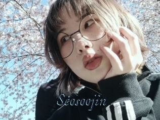 Seosoojin