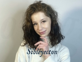 Sibleyecton