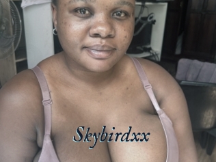 Skybirdxx