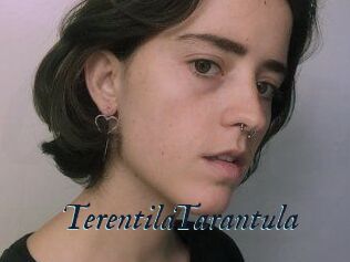 TerentilaTarantula