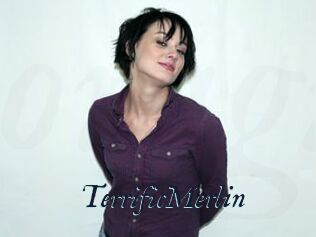 TerrificMerlin