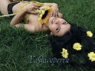 Taylacoperrk