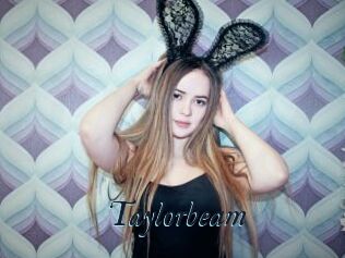 Taylorbeam
