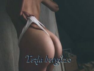 Tezla_hotgil20
