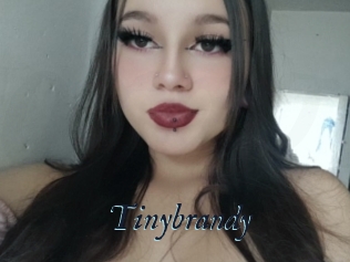 Tinybrandy