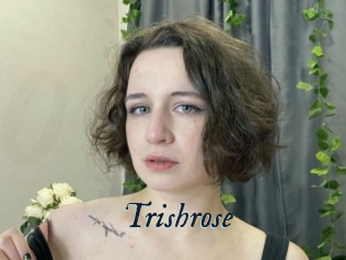 Trishrose