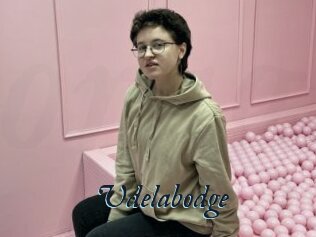 Udelabodge