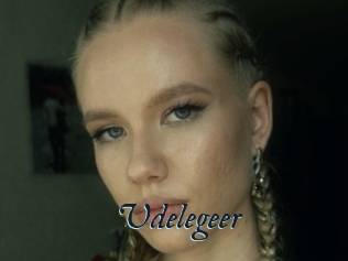 Udelegeer