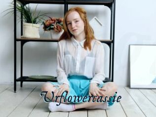 Urflowercassie