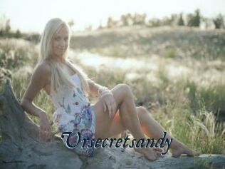 Ursecretsandy