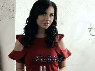 VioBird