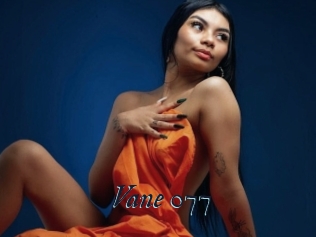 Vane_077