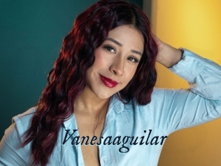 Vanesaaguilar