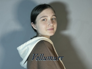 Vellumurr