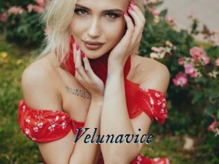 Velunavice