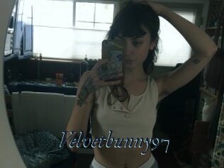 Velvetbunny97
