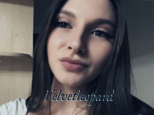 Velvetleopard