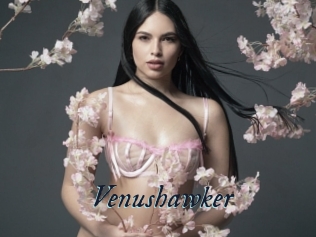 Venushawker