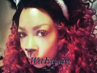 WetEstuary