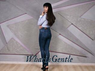 WhatIsGentle