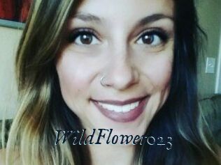 WildFlower023