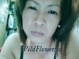 WildFlowerxx